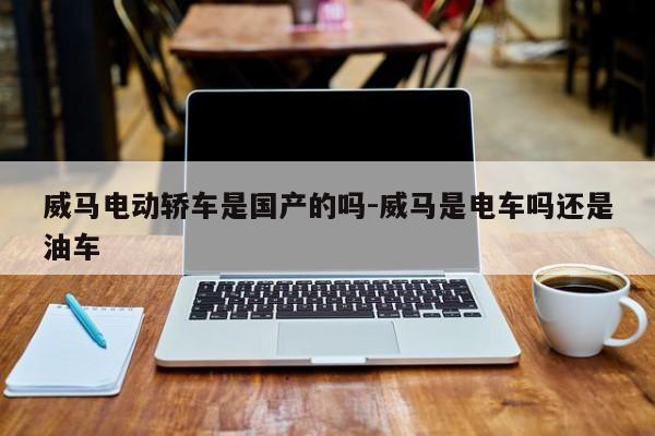威马电动轿车是国产的吗-威马是电车吗还是油车