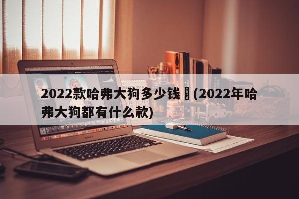 2022款哈弗大狗多少钱︰(2022年哈弗大狗都有什么款)